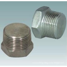 Pipe Fitting Plug